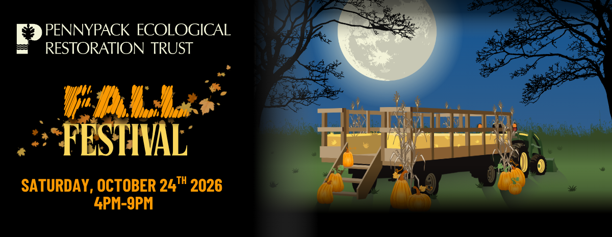 October 24th - Annual Fall Festival